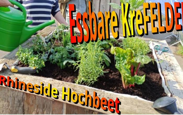 Essbares KreFELD Hochbeet